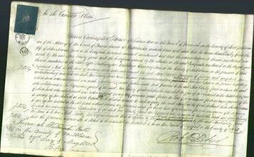 Court of Common Pleas - Ann Tinsley Grout-Original Ancestry