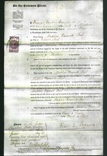 Court of Common Pleas - Madeline Warwick Steel-Original Ancestry