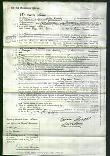 Court of Common Pleas - Eliza Ann Evans-Original Ancestry