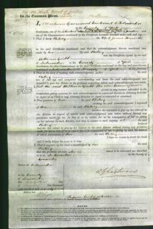 Court of Common Pleas - Betsey Howorth-Original Ancestry