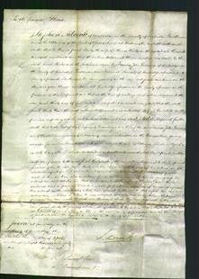 Court of Common Pleas - Sarah Wicks-Original Ancestry