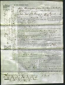Court of Common Pleas - Bridget Stevenson-Original Ancestry