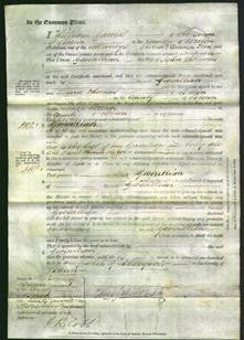 Court of Common Pleas - Gwenllian Williams-Original Ancestry