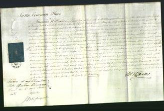 Court of Common Pleas - Susan Mary Martyn Williams-Original Ancestry