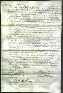 Court of Common Pleas - Ann Kenny-Original Ancestry
