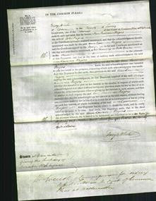 Court of Common Pleas - Ann Lawrence Rogers-Original Ancestry