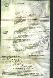 Court of Common Pleas - Elizabeth Tomkins-Original Ancestry