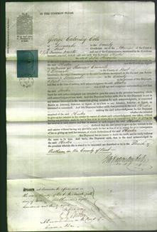 Court of Common Pleas - Hester Knowles-Original Ancestry