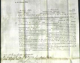 Court of Common Pleas - Mary Shaw-Original Ancestry