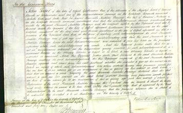 Court of Common Pleas - Hannah Matilda Strainge Medwin-Original Ancestry