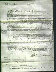 Court of Common Pleas - Alice Mary Down-Original Ancestry