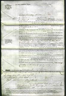 Court of Common Pleas - Maria Davies-Original Ancestry