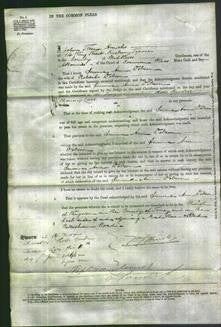 Court of Common Pleas - Emma Ann Dobson-Original Ancestry