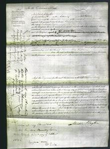 Court of Common Pleas - Frances Mary Taylor-Original Ancestry