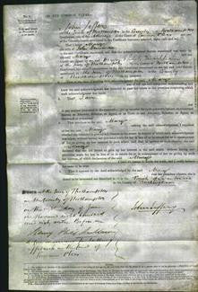 Court of Common Pleas - Mary Hensman-Original Ancestry