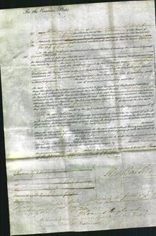 Court of Common Pleas - Catherine Jones-Original Ancestry