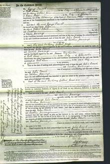 Court of Common Pleas - Julia Couch and Caroline Jennings-Original Ancestry