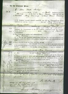 Court of Common Pleas - Mary Demmery-Original Ancestry