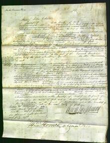 Court of Common Pleas - Emma Maria Lofthouse-Original Ancestry