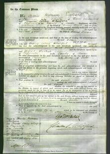 Court of Common Pleas - Sarah Truran-Original Ancestry