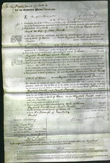 Court of Common Pleas - Elizabeth Powell and Sarah Powell-Original Ancestry