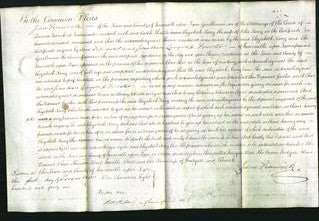 Court of Common Pleas - Elizabeth Lang-Original Ancestry