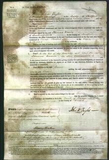 Court of Common Pleas - Emma Tucker-Original Ancestry