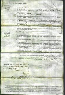 Court of Common Pleas - Mary Jones-Original Ancestry