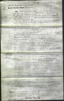 Court of Common Pleas - Elizabeth Melling-Original Ancestry