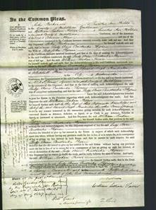 Court of Common Pleas - Anne Constantine Thynne-Original Ancestry