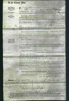 Court of Common Pleas - Hannah Burn-Original Ancestry