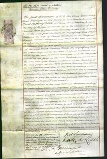 Court of Common Pleas - Catherine Sanderson-Original Ancestry