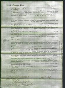 Court of Common Pleas - Charlotte Horsley-Original Ancestry