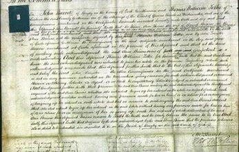 Court of Common Pleas - Ann Dinns-Original Ancestry