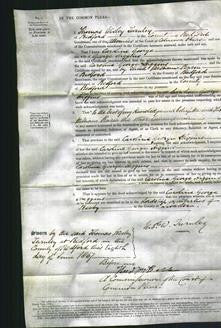 Court of Common Pleas - Caroline George Higgins-Original Ancestry