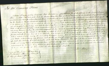 Court of Common Pleas - Mary Runnicus-Original Ancestry