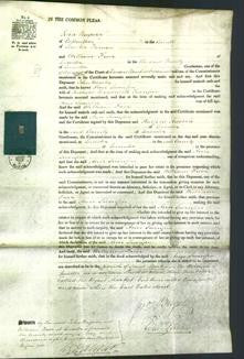 Court of Common Pleas - Ann Swinfen-Original Ancestry