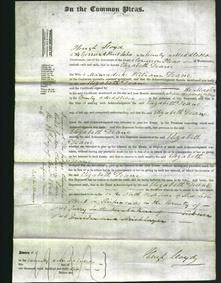 Court of Common Pleas - Elizabeth Deane-Original Ancestry