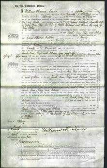 Court of Common Pleas - Sarah Hartland, Ann Shin, Eliza Johnson and Selina Stokes-Original Ancestry