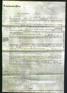 Court of Common Pleas - Cecilia Christiana Richardson-Original Ancestry