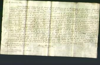 Court of Common Pleas - Sarah Hammond, Frances Hammond and Mary Billcliff-Original Ancestry