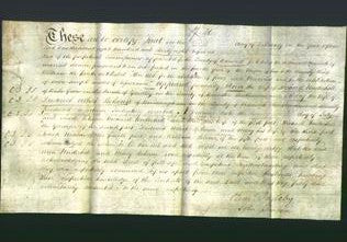 Deed by Married Women - Ann Underhill and Mary Bekenn-Original Ancestry