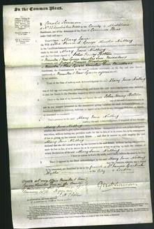 Court of Common Pleas - Mary Jane Nutting-Original Ancestry