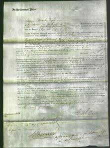 Court of Common Pleas - Eliza Greenwood-Original Ancestry