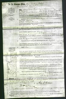 Court of Common Pleas - Elizabeth Williams