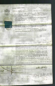 Court of Common Pleas - Frances Elizabeth Marster-Original Ancestry