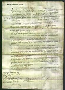 Court of Common Pleas - Mary Ann Watson-Original Ancestry