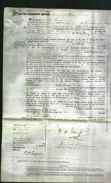 Court of Common Pleas - Emily Fanny King-Original Ancestry