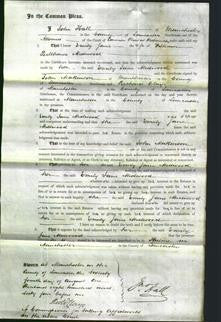 Court of Common Pleas - Emily Jane Medwood-Original Ancestry