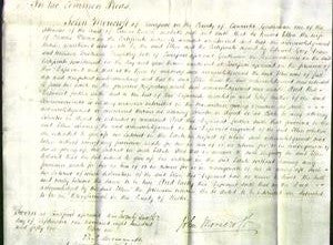 Court of Common Pleas - Ellen Davies-Original Ancestry
